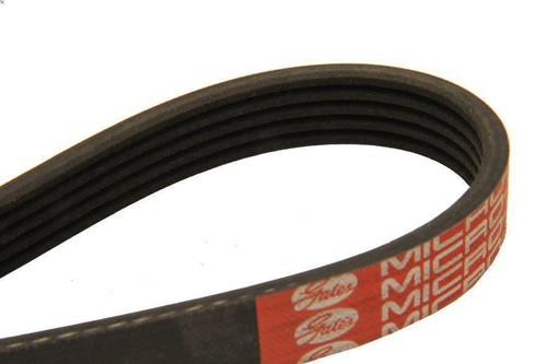 Ribbed bel dayco 5pk1352 for - v-ribbed,