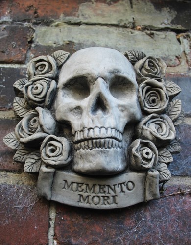 Skull with roses garden - skull,