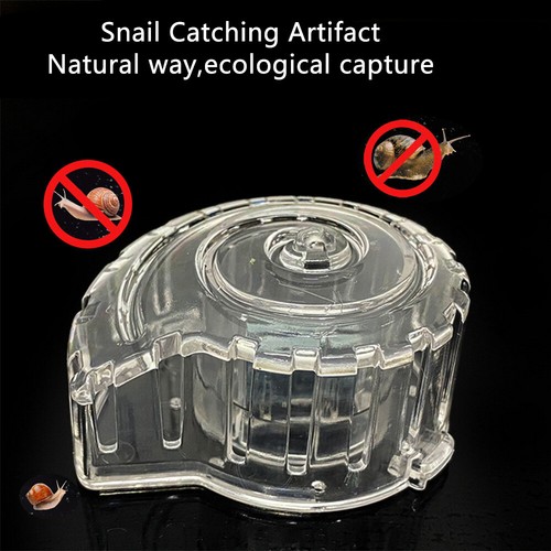 Snail catcher aquarium fish - catcher,