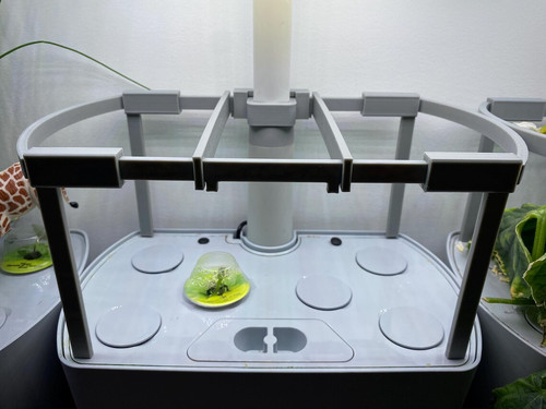 Aerogarden harvest trellis - aerogarden,