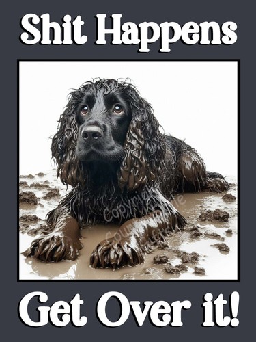 Cocker sprocker springer - cocker,