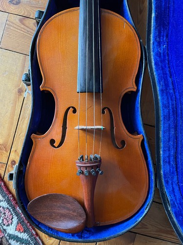 Violin strung viola - violin, a
