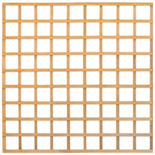 6ft x 6ft Square Lattice