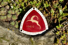 VINTAGE ENAMEL AUTOMOBILE CAR