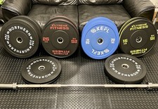 200kg Olympic Rubber Bumper