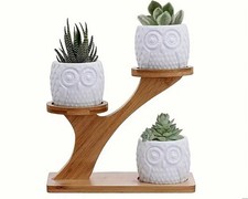Multifunctional Plant Stand