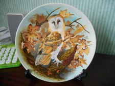 Coalport fine bone china  plate  Barn Owl  Made in England 1989  Wise Owl series
