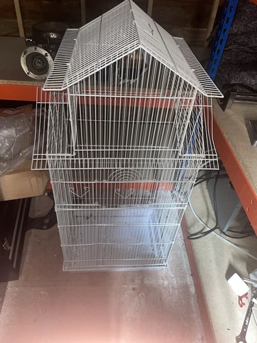 Bird cage - bird,