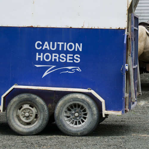 Caution horses horsebox - caution,