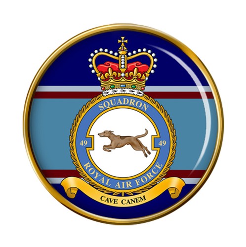 Squadron raf pin - 49, squadron,