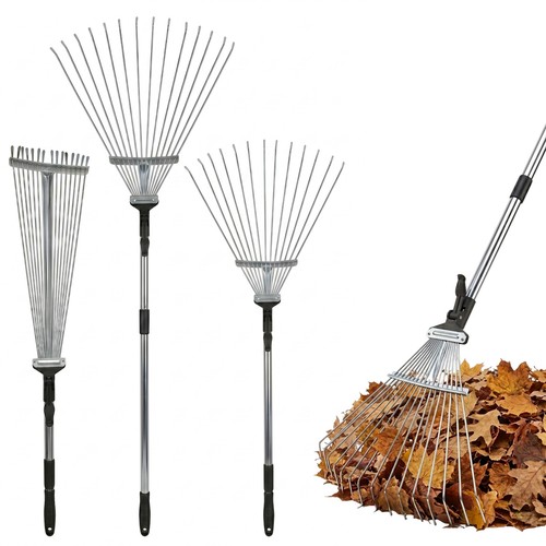 Garden rake lawn - lawn, removal