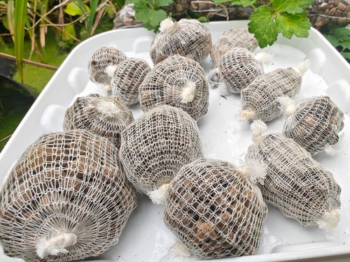 Pre filled carp fish pva - 27,
