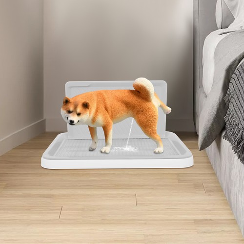 Pet puppy dog - loo, training