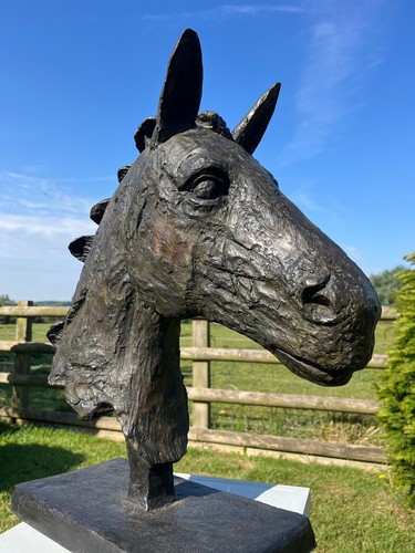 Bronze horse sculpture - sculpture,