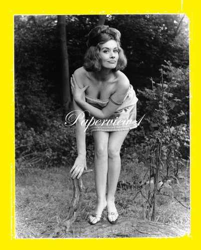 Real photograph 8x10 pin - photograph,