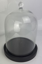 Glass Display Cloche Bell Jar Dome Flower Preservation Vase Black Wood Base 21cm