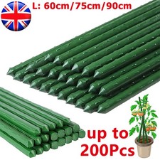 60/75/90cm Plant Stake Garden