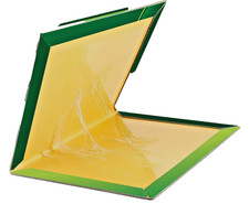 Pest Trap Boards 10 Pack