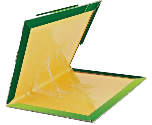 Pest trap boards - pest,