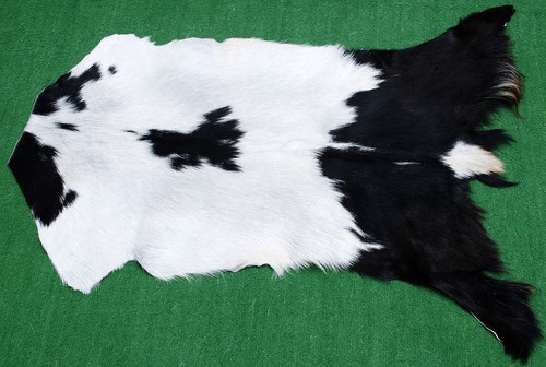 Luxury goat hide rug - luxury, hair