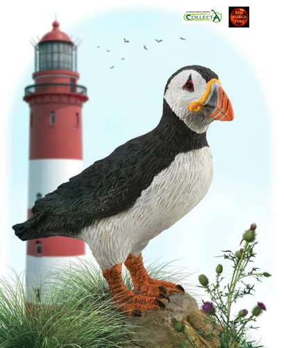 Puffin bird sealife - puffin,