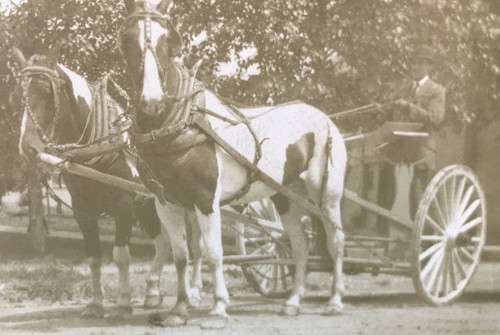 Rppc photo horse drawn - photo, stand