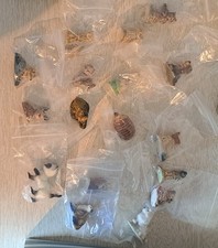 Wade whimsies collection