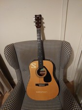 Yamaha Acoustic Guiter FD01 6 String