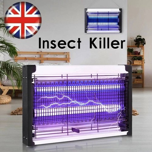 Bug zapper electric insect - bug,