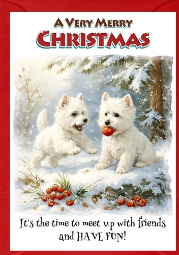West highland white terrier - white, /