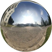 Gazing Globe Mirror Ball