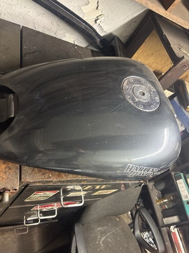 Harley davidson evo softail - harley,