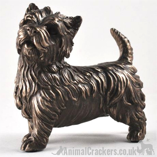 Bronze west highland terrier - highland,