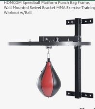 Wall Mounted Speed Ball