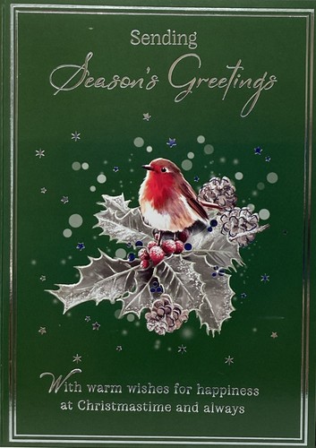 Open christmas card - card, robin
