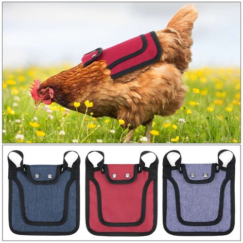 Chicken saddle apron - apron, back