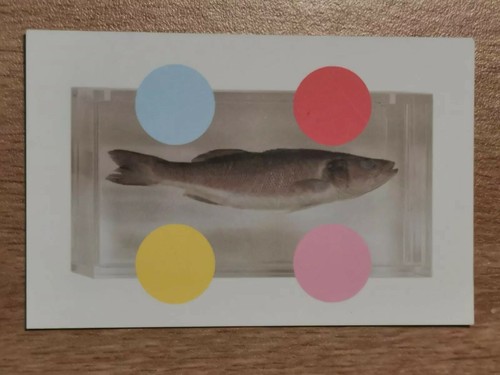 Damien hirst spot design card - damien,