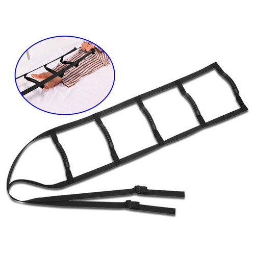 Bed ladder assist - bed,