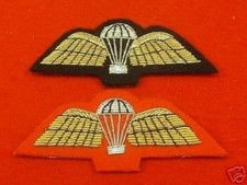 PARA WINGS, PARACHUTE WINGS