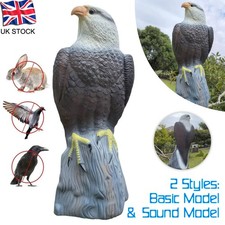 Large Falcon Pest Deterrent