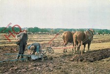 Picture Postcard; All-England