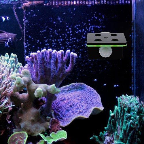 1pc aquarium frag - rack,