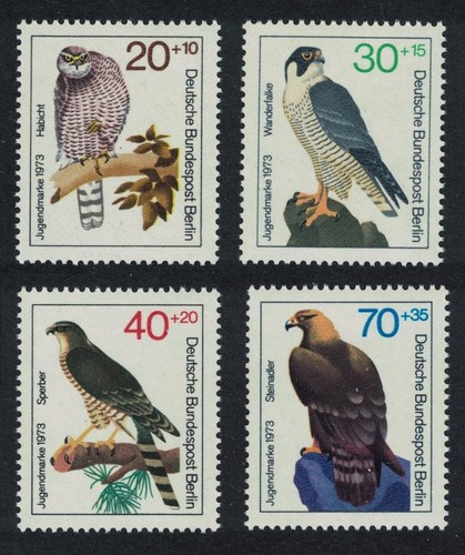 Falcon hawk goshawk - falcon,