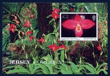Jersey Block 2004 Nature Flower Orchid Phragmipedium Jason Fischer MNH aXF Z3887