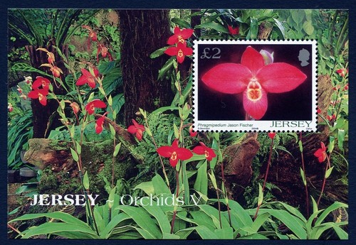 Jersey block 2004 nature - jersey,