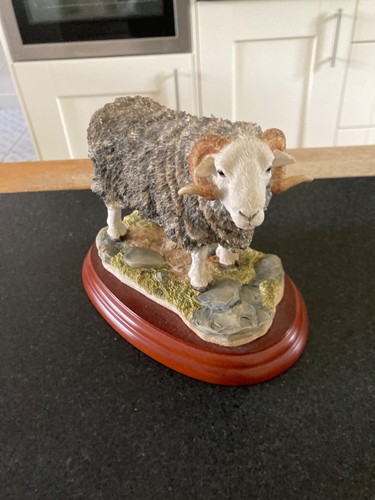Border fine arts herdwick - fine, ram