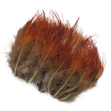 golden pheasant rump feathers salmon shrimp tail feathers premium quality 100