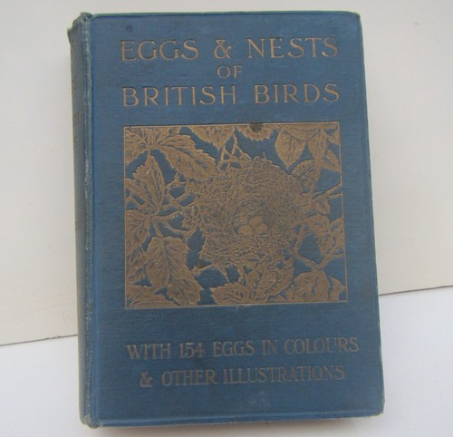Old eggs and nests british - old, of