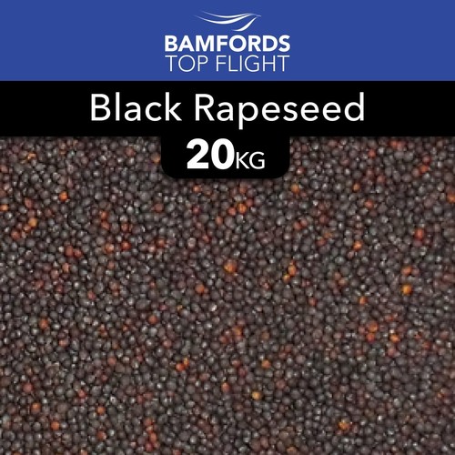 20kg black rapeseed fishing - 20kg,