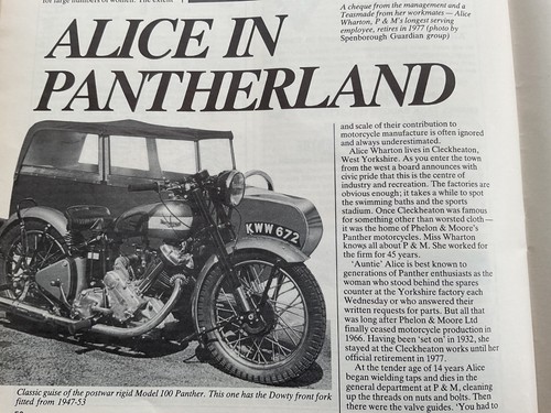 Panther 100 outfit - panther, etc